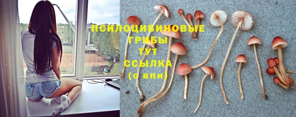 бошки Волосово