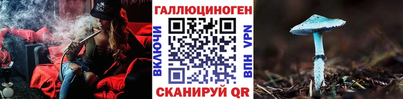 Купить  Лебедянь  Галлюциногенные грибы GOLDEN TEACHER 